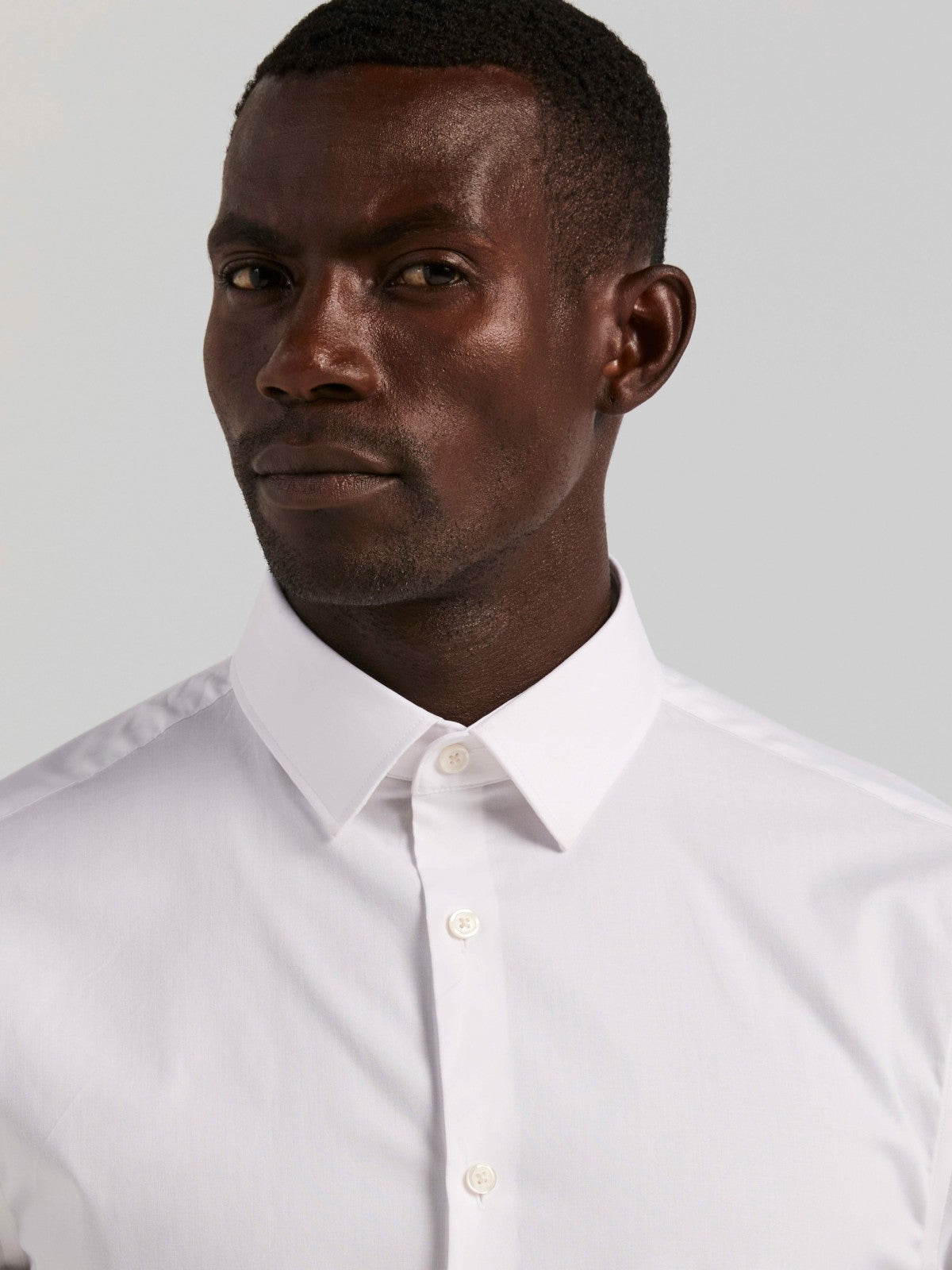 Cotton Blend Slim Fit Dress Shirt -  Perry Ellis US