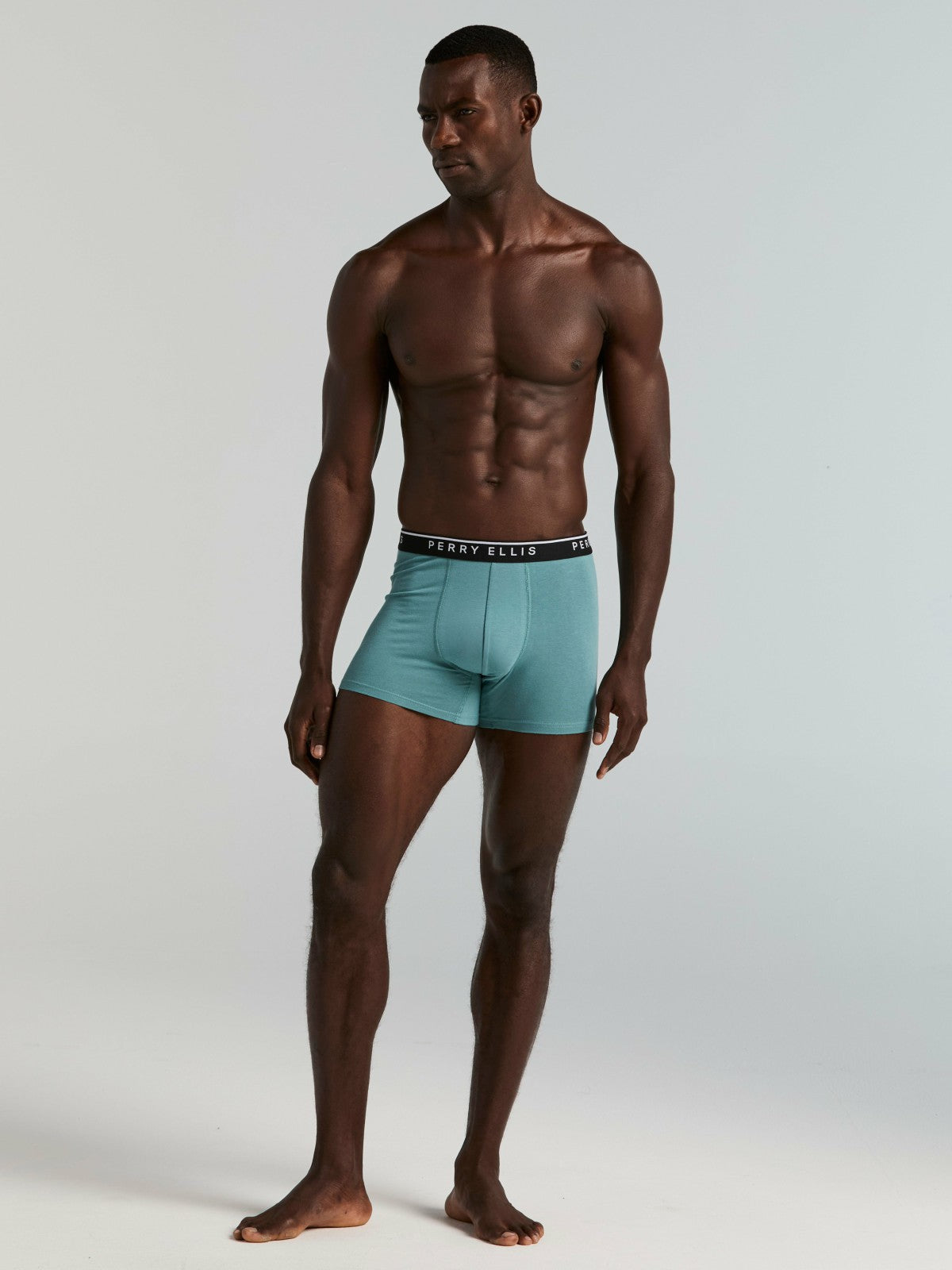 4-Pack Cotton Stretch Boxer Brief -  Perry Ellis US