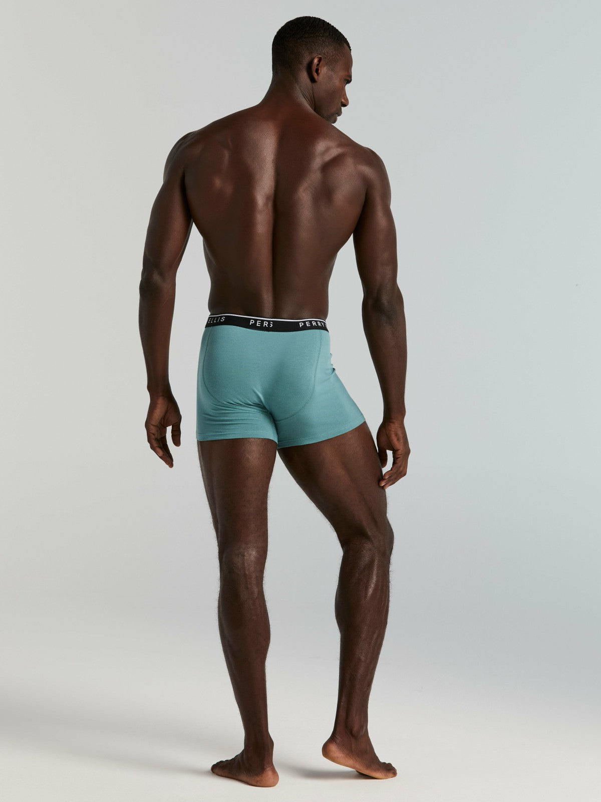 4-Pack Cotton Stretch Boxer Brief -  Perry Ellis US