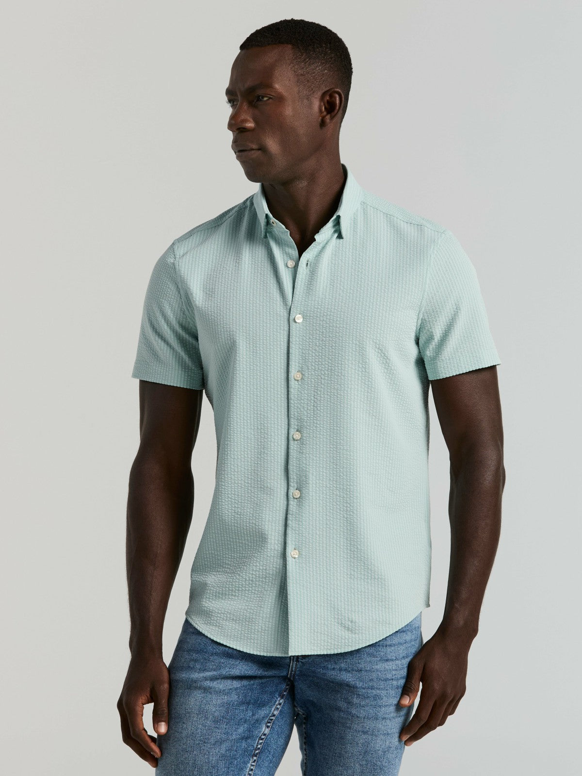 Stretch Seersucker Slim Fit Shirt -  Perry Ellis near me
