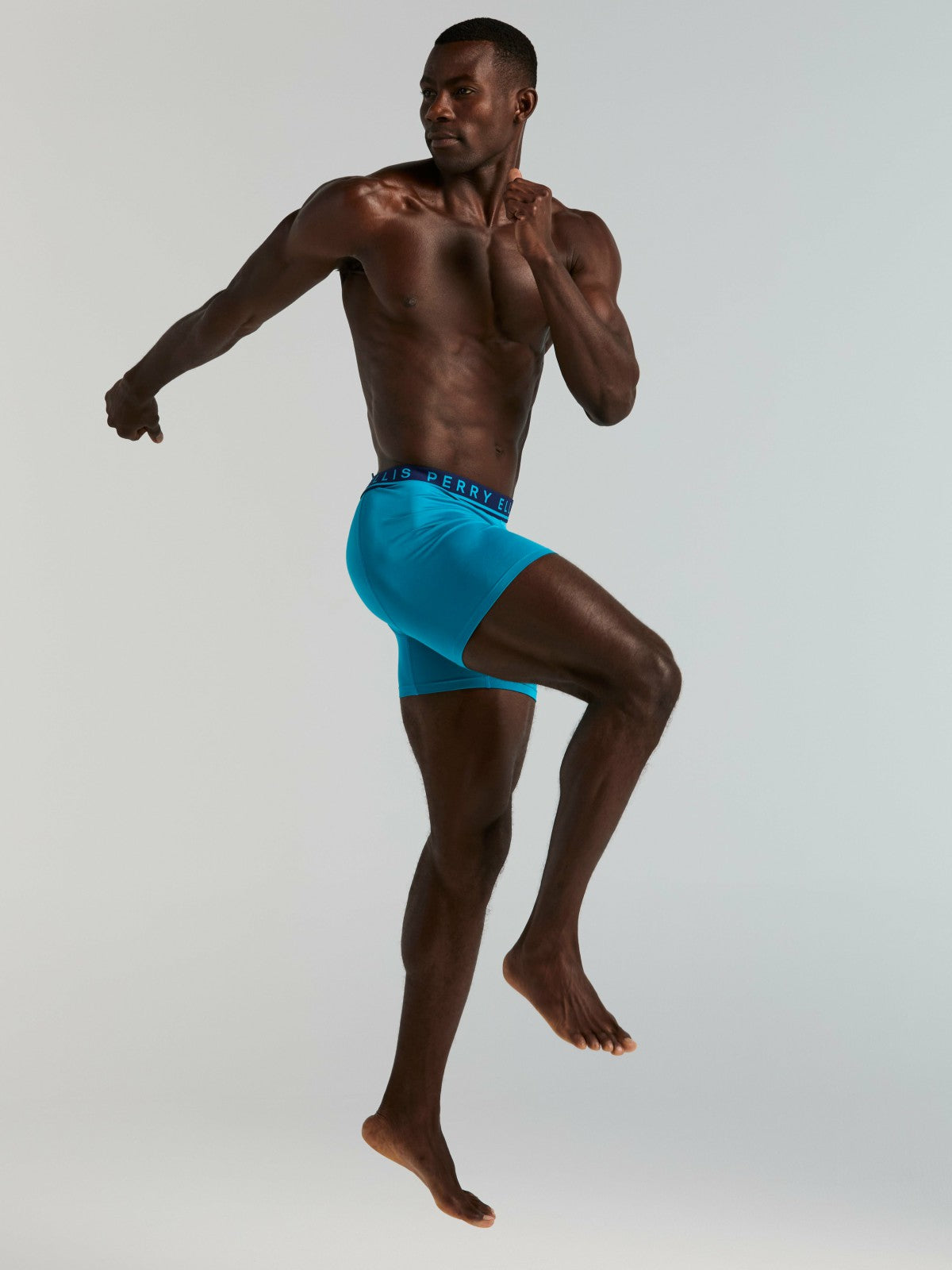 Men's Boxer Brief 4-Pack -  Perry Ellis for sale