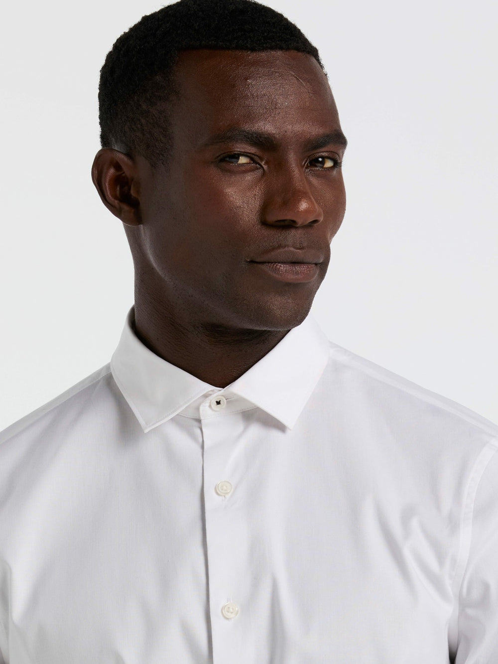 Dobby Cotton Stretch Slim Fit Shirt -  Perry Ellis near me