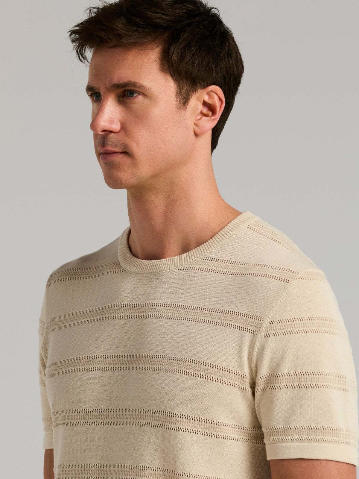 Cotton Mesh Striped Crew Neck Sweater Tee -  Perry Ellis on sale