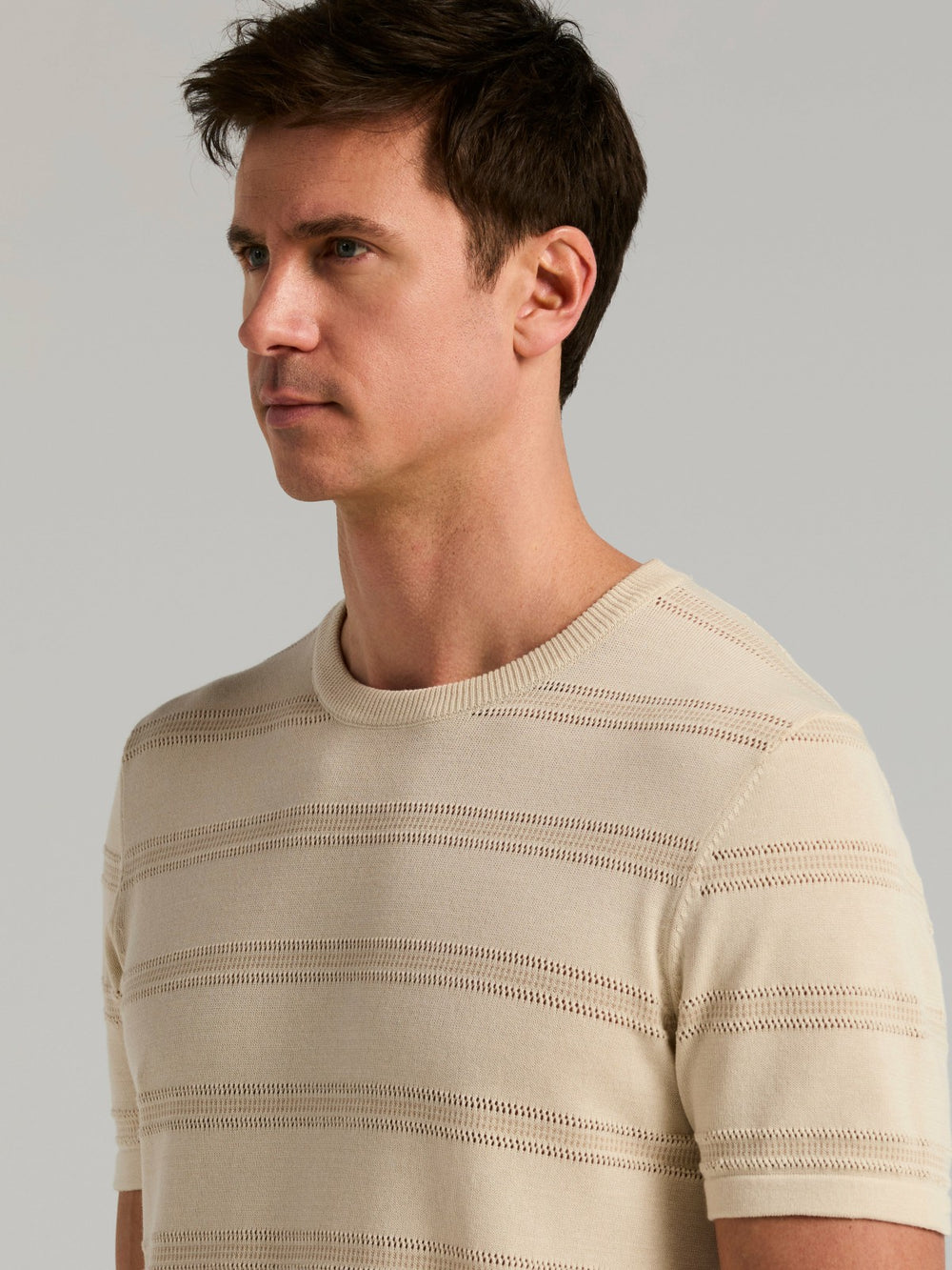 Cotton Mesh Striped Crew Neck Sweater Tee -  Perry Ellis on sale