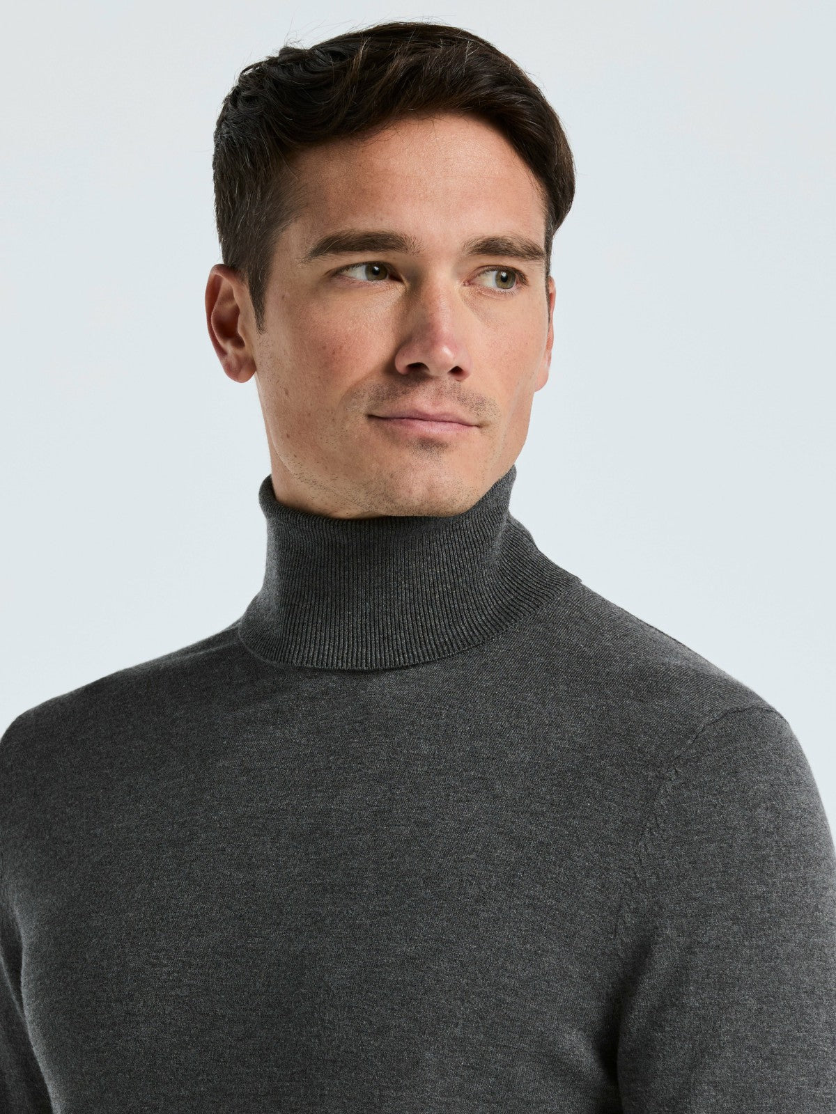 Tech Knit Turtleneck Sweater -  Perry Ellis online